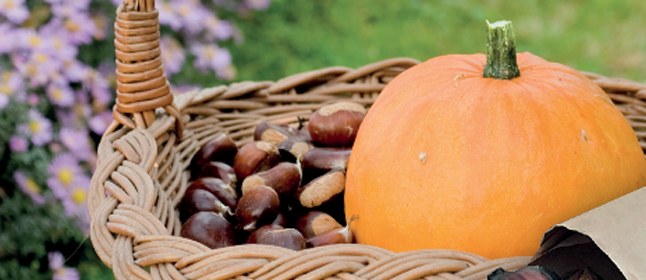 Chestnuts, terrifying costumes and tradition come together to celebrate the Castanyada throughout Sant Feliu